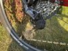Pells Duke XT 2020