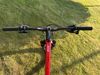 Pells Duke XT 2020