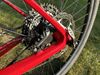 Pells Duke XT 2020