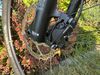 Pells Duke XT 2020