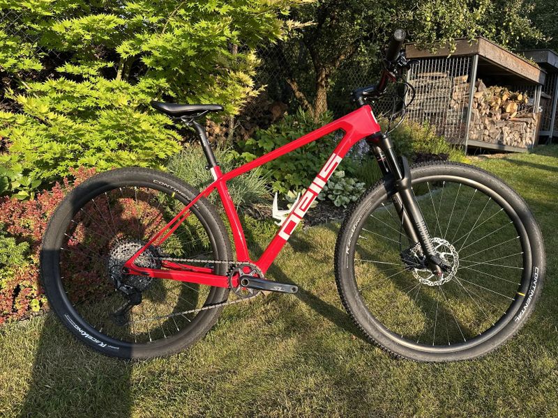 Pells Duke XT 2020