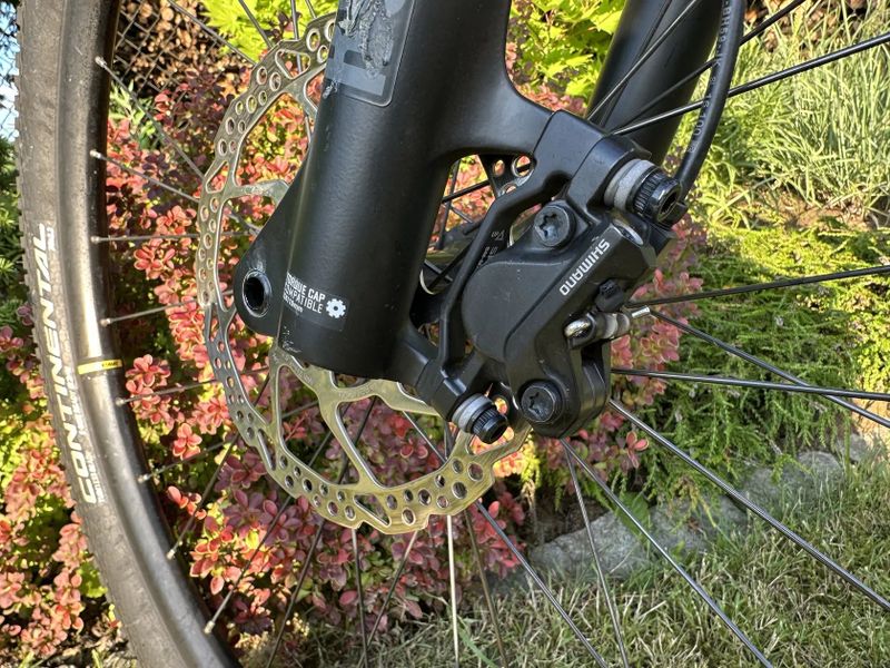 Pells Duke XT 2020