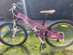 SCOTT Contessa " 24"