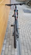 PELLS RAZZER FIRST 29er ve velikosti L/19