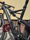 Specialized-vel M