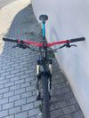 Proceed Terra 9 Carbon 29"