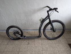 Yedoo Trexx disc