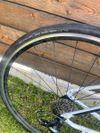 Specialized 2019 Allez Sport; vel.56