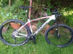 Lapierre Prorace 229
