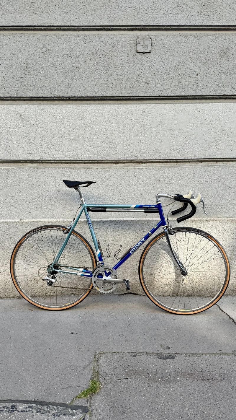 Giant vel.56