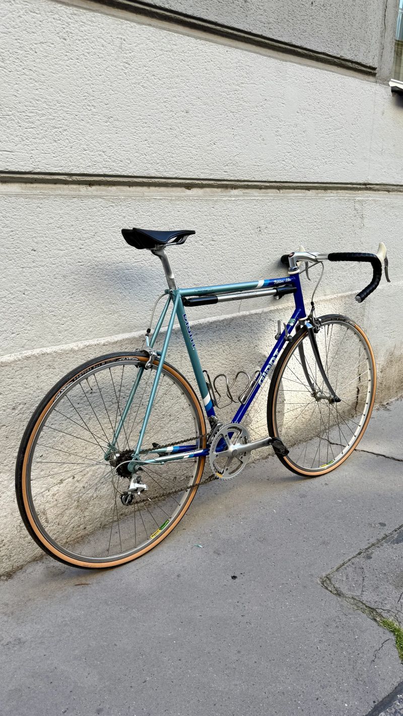Giant vel.56