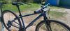 Beany 13" 27.5" kola