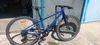 Beany 13" 27.5" kola