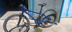 Beany 13" 27.5" kola
