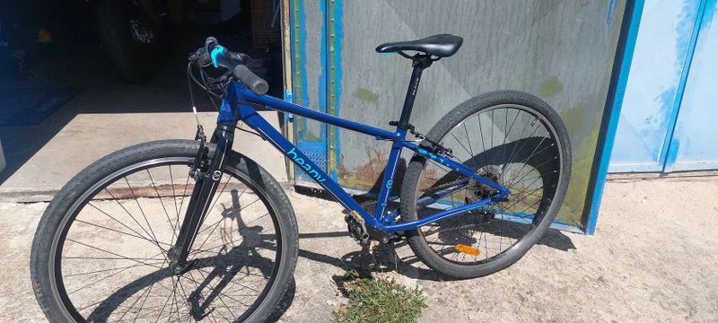 Beany 13" 27.5" kola