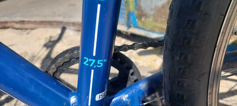 Beany 13" 27.5" kola