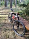 Cannondale scalpel ht carbon 1 
