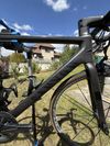 Canyon CF SL