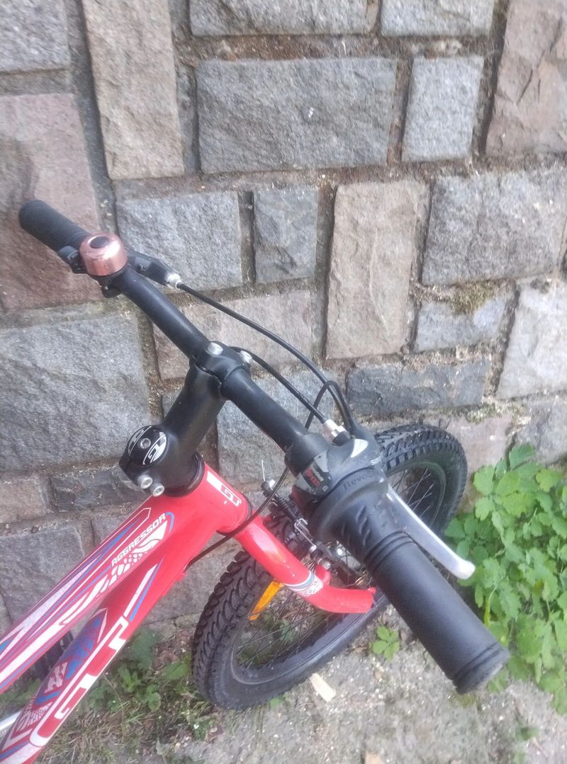 GT aggressor 20"