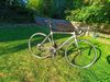 Colnago AC-R