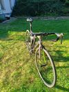 Colnago AC-R