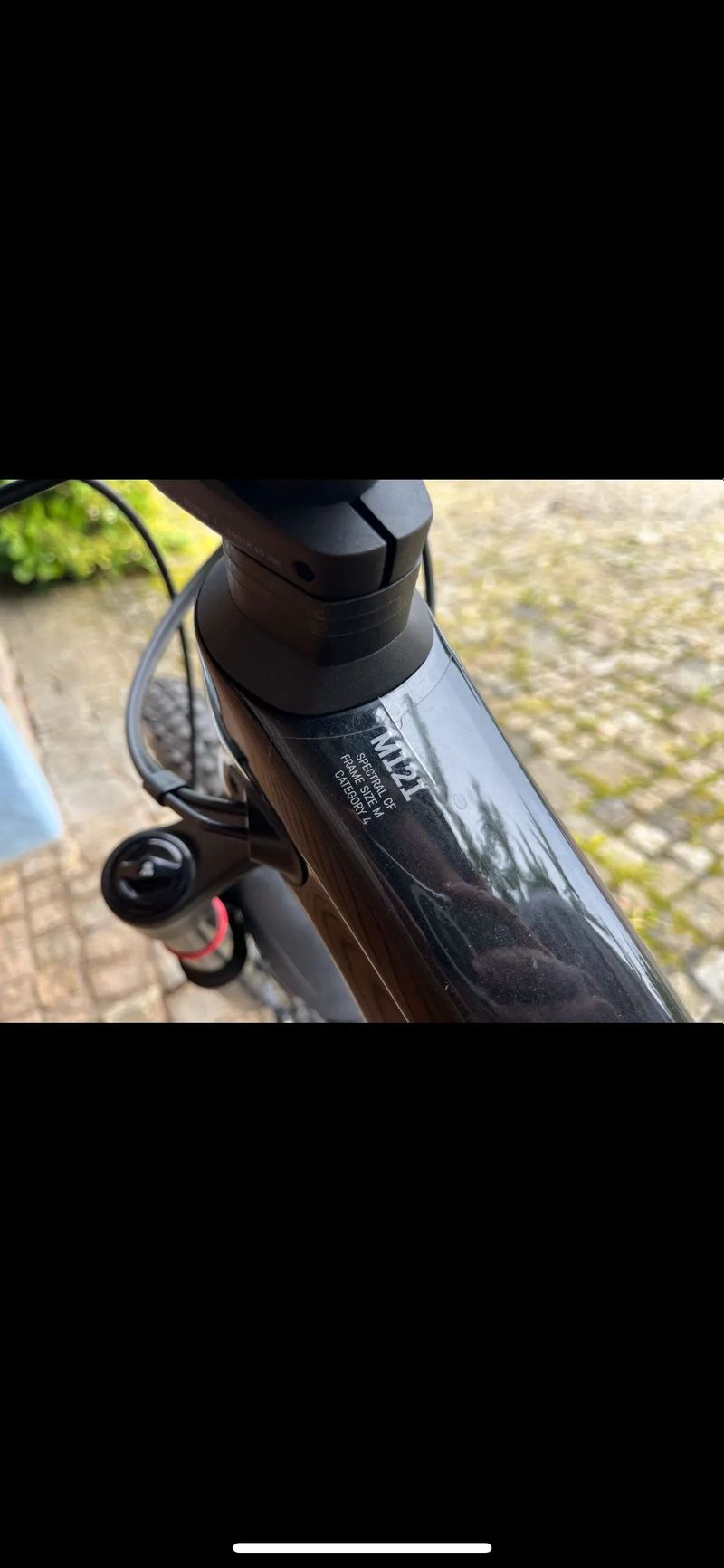 Canyon Spectral CF7 29 2022