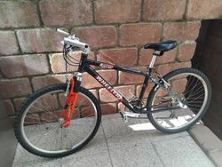 Dětské kolo Wheeler