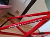 Trek Madone SLR (Project One)