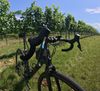 Cannondale Topstone Carbon 1 RLE 2024 - Pův. cena 220tis
