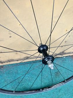 Prodám výplety Campagnolo - Proton