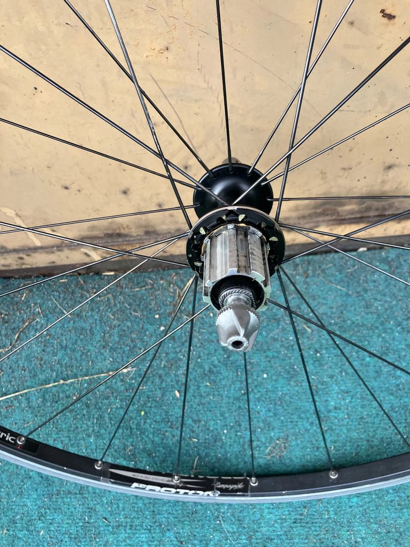 Prodám výplety Campagnolo - Proton