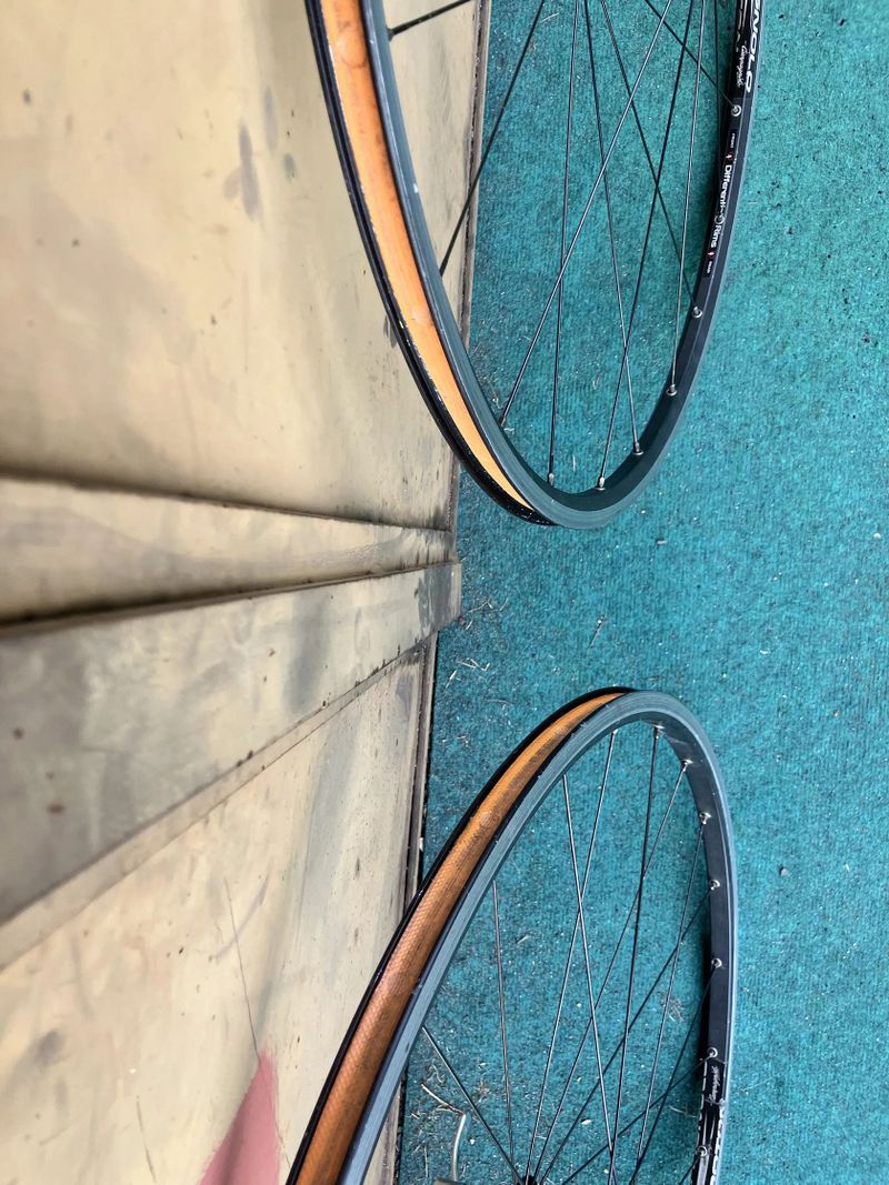 Prodám výplety Campagnolo - Proton