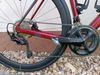TREK DOMANE
