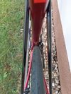 TREK DOMANE