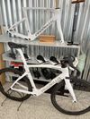 Pinarello Dogma F Disc/Rim (NOVÉ, vel. 550)