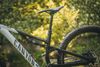 Canyon Neuron 5