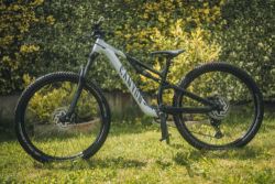 Canyon Neuron 5