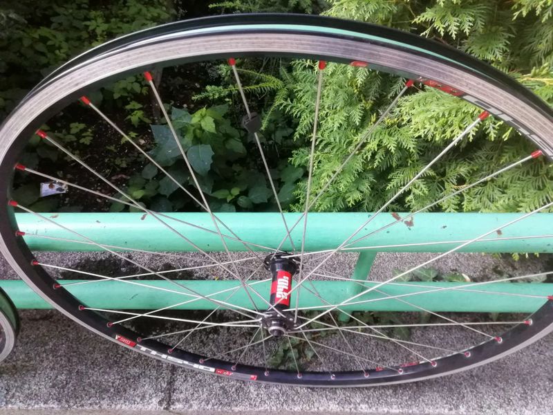 Zapletená kola 28 DT Swiss s náboji 240s - rychloupínák, V brzdy