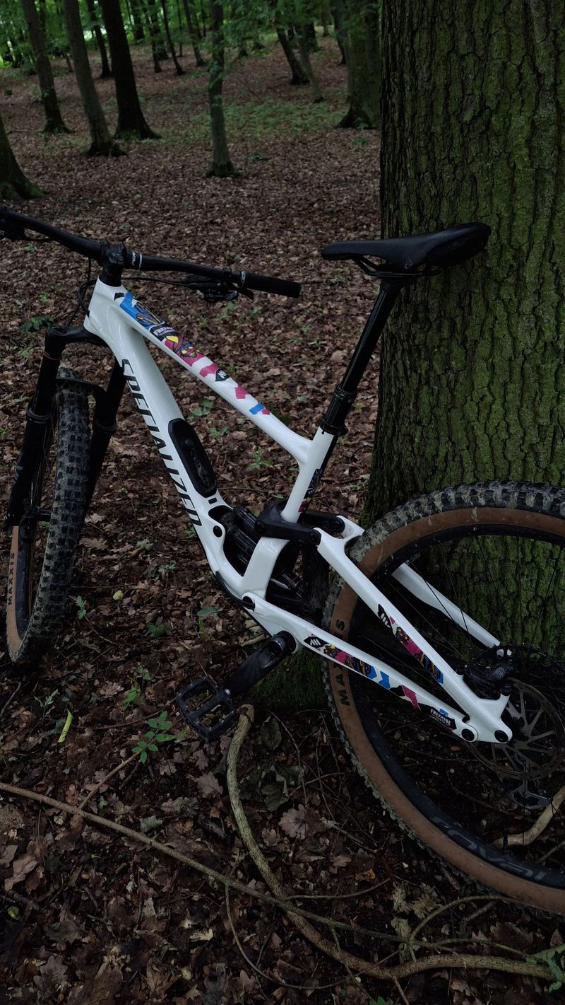 Specialized Enduro Comp - 170x170mm