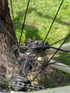 CTM Dirtking kolo skvělé pro začátečníky kteří se chtějí naučit skákat a naučit se nové triky 