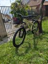 CTM Dirtking kolo skvělé pro začátečníky kteří se chtějí naučit skákat a naučit se nové triky 