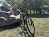 Wilier GTR Team Disc