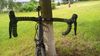 Author AURA 55 - Shimano 105, DT 350, s WATTMETR 