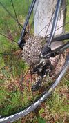 Author AURA 55 - Shimano 105, DT 350, s WATTMETR 