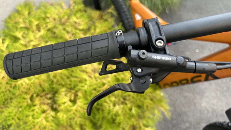 ORBEA Rise H30 - leo orange / black glossy L