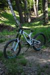 Kellys noid custom 