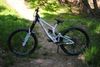 Kellys noid custom 