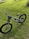 Kellys noid custom 