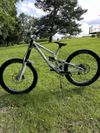 Kellys noid custom 