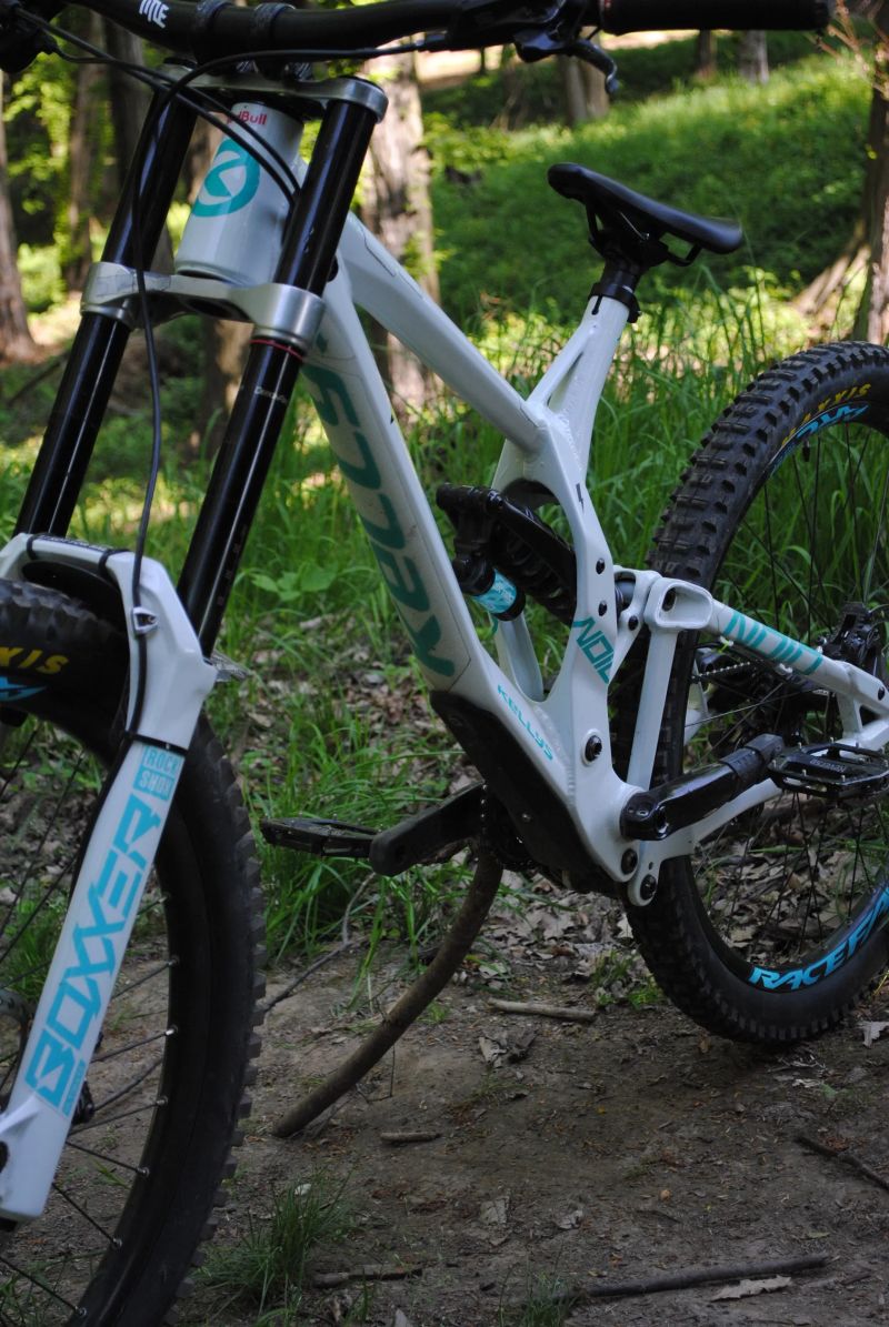 Kellys noid custom 